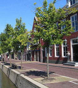 Properties in Noord Netherlands