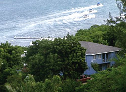 Properties in Saint Peter Antigua and Barbuda