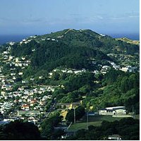 Properties in Mount Albert Auckland