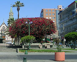 Properties in Arica and Parinacota Chile
