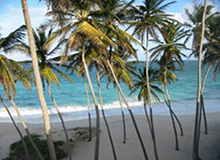 Barbados beachfront luxury homes