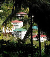 Dominica Hillside properties