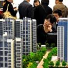 China property sales to drop 50%