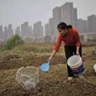 China prohibits rural land sale for property use