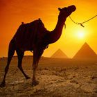 Hurghada property boosted by growing all-rounder reputation